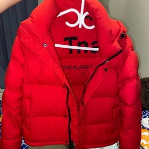 Aritzia The Super Puff™ Shorty